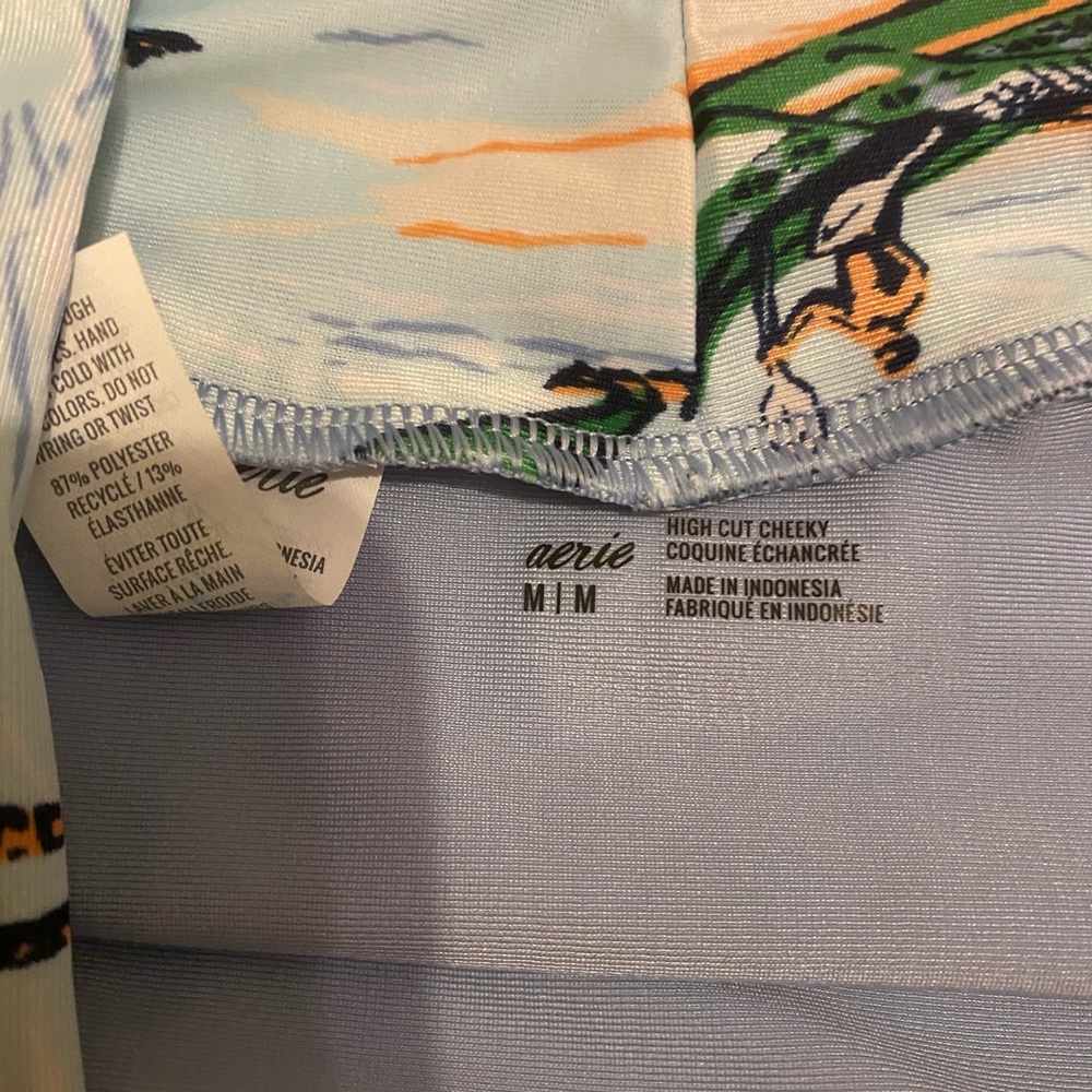 Aerie Tropical/Hawaiian Print High-Waist Bikini - Picture 4 of 7